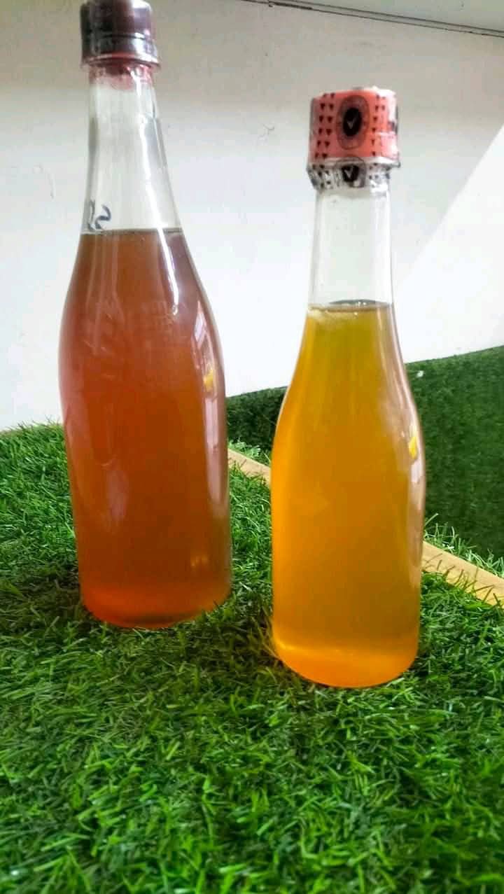 Organic Honey (মধু) - Image 8