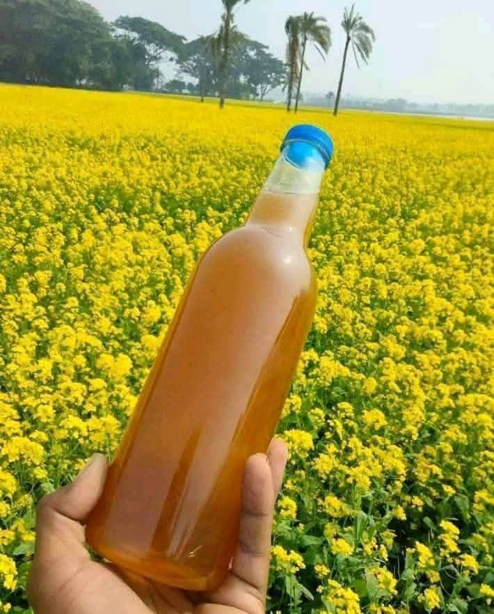 Organic Honey (মধু) - Image 9