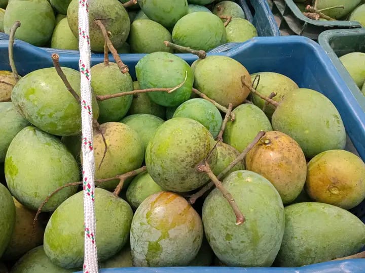 Mango Rajshahi (রাজশাহীর আম) - Image 3