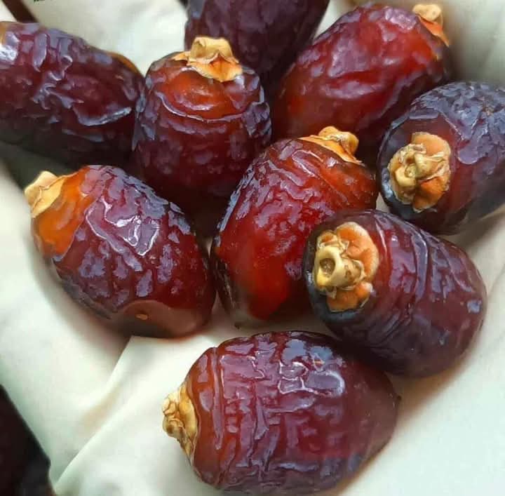 Date (খেজুর)