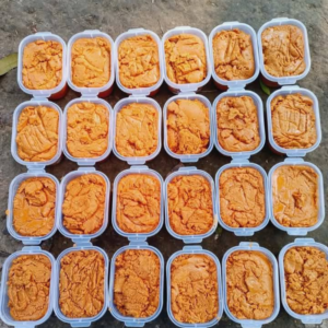 Date Biz Chocolate jaggery (বিজ চকলেট গুড়)