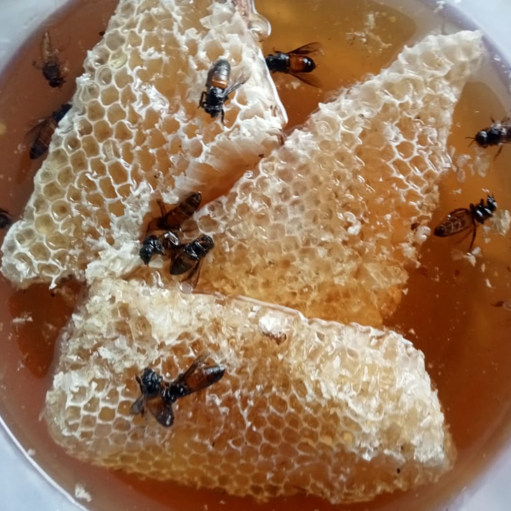 Organic Honey (মধু) - Image 2