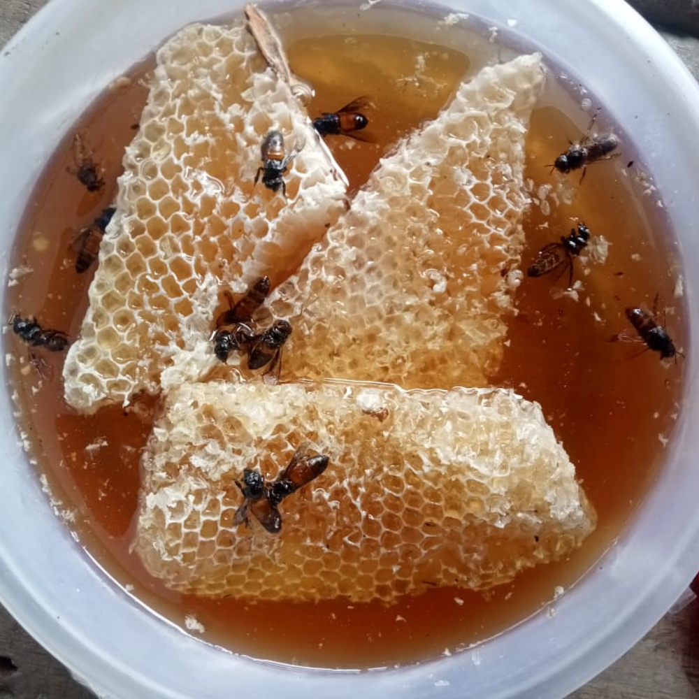 Organic Honey (মধু)